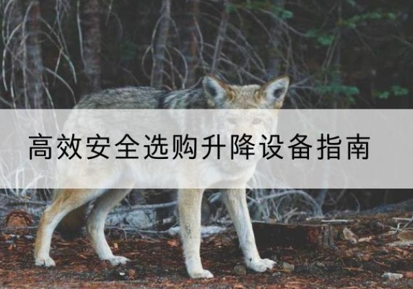 兴文升降货梯厂家推荐-*安全选购升降设备指南