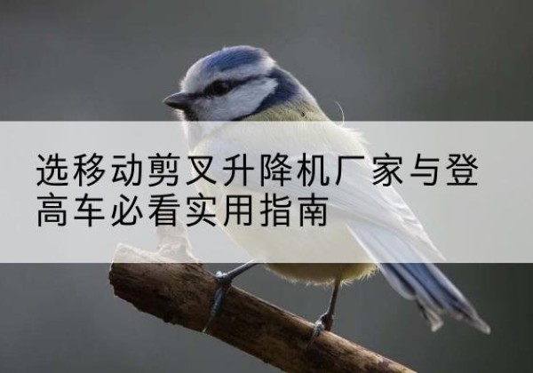 兴文电动升降机厂家-选移动剪叉升降机厂家与登高车必看实用指南