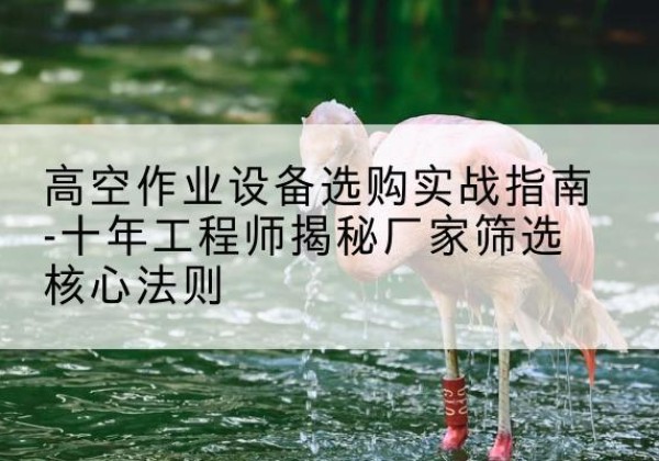 兴文剪叉式升降机厂家-高空作业设备选购实战指南-十年工程师揭秘厂家筛选核心法则